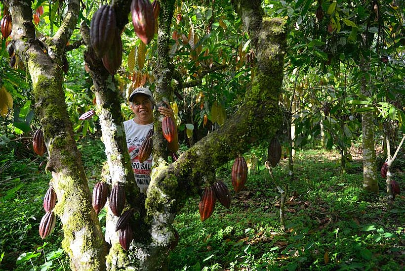 Paula, die Mutter von Lucho im Kakaogarten