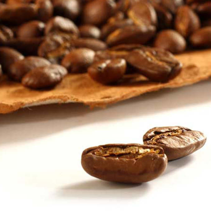 Zotter Organic + Fairtrade Coffee "Whole Bean" 500g