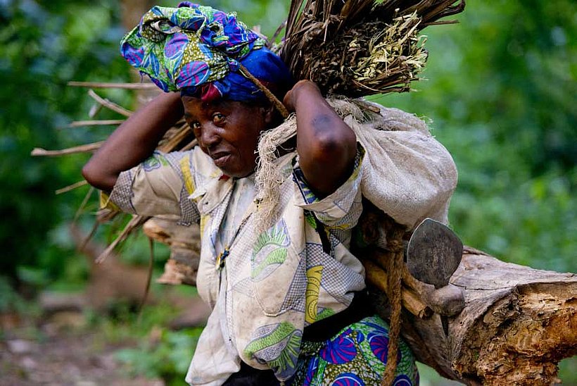 Feuerholz sammeln im Kongo