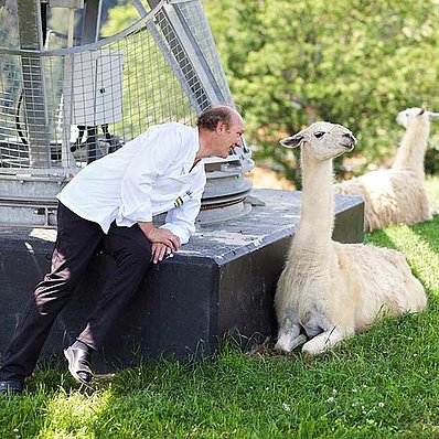 J.Zotter with llama under the photovoltaic system (horizontal)