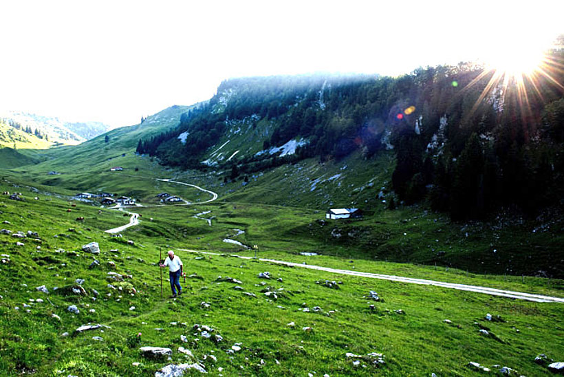 Bio vom Berg in Tirol