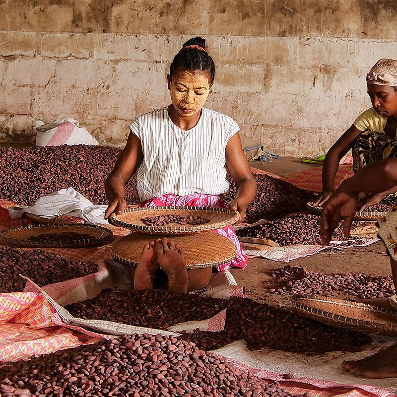 Zotter Kakaoreise Madagaskar