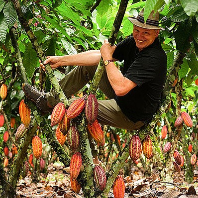 Peru: Josef Zotter on a cocoa tree (horizontal)