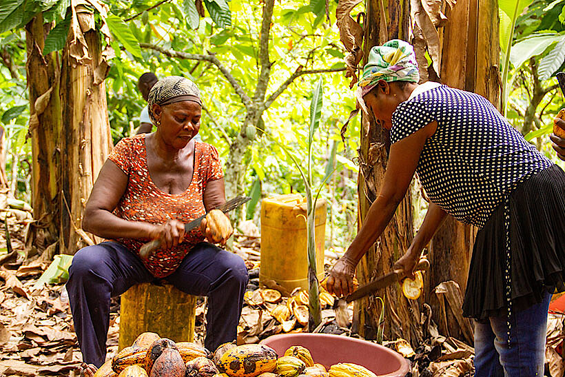 Kakaoreise mit Julia Zotter nach Westafrika (2)