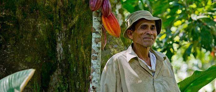 Santiago Kakaobauer in Peru