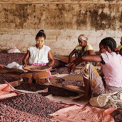 Madagascar: hand-selected cocoa (horizontal) 