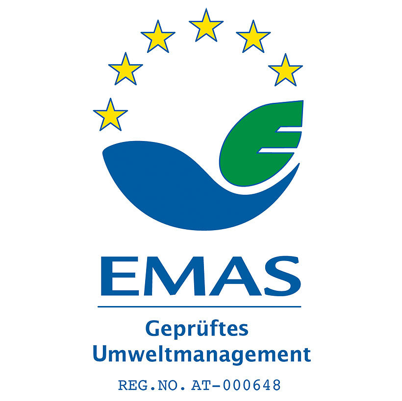 Emas Logo