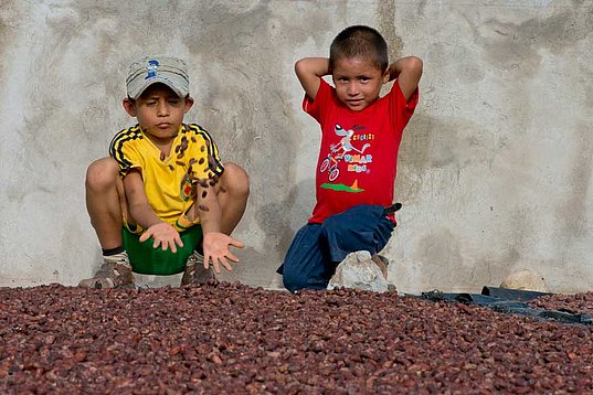 Keine Kinderarbeit bei Acopagro