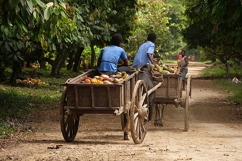Zotter Kakaoreise Madagaskar 3