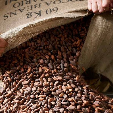 organic and fair traded cocoa 