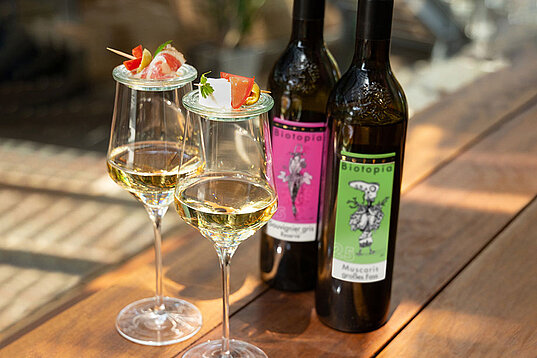 Zotter Organic Coffee Shop Wine & Tapas