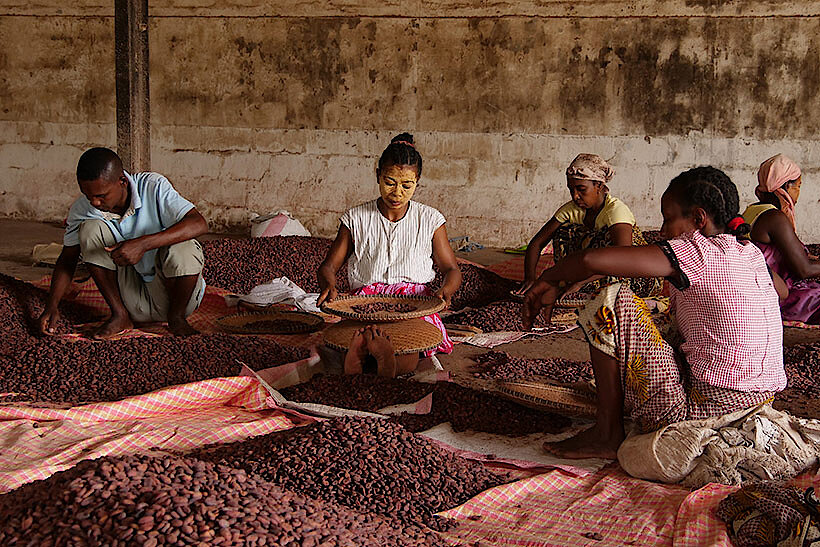 Zotter Kakaoreise Madagaskar 1