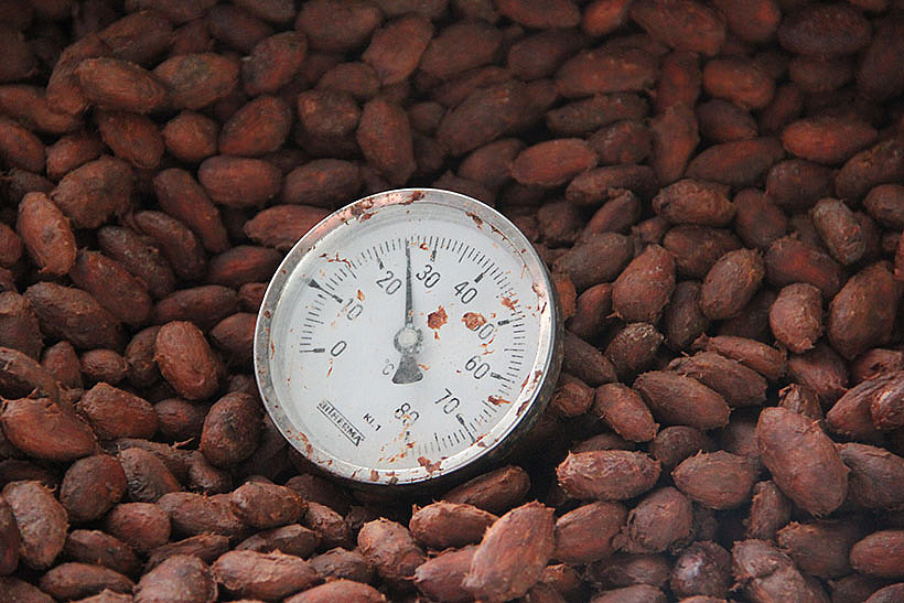 Temperaturkontrolle Kakaobohnen
