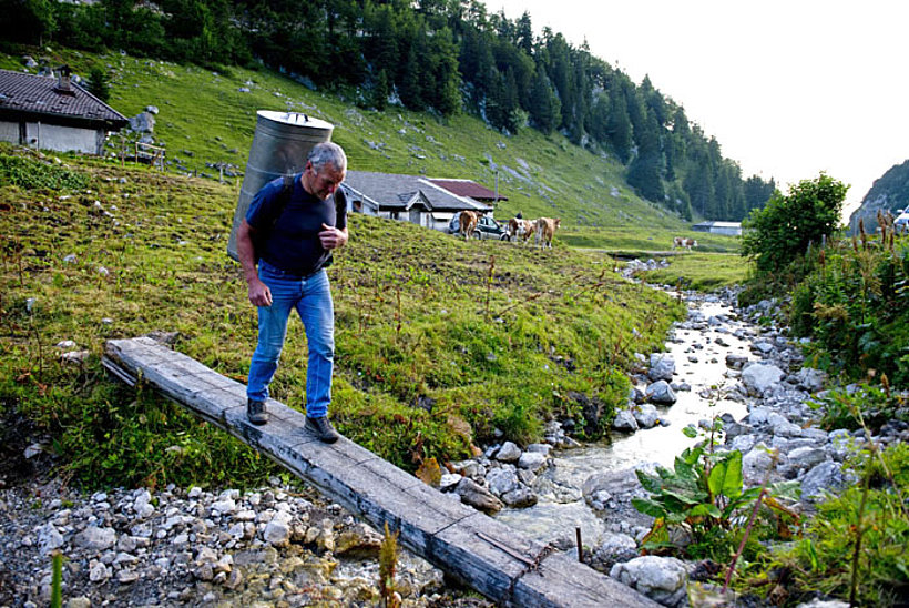 Bio vom Berg in Tirol - Milchtransport zur Schweizerhütte