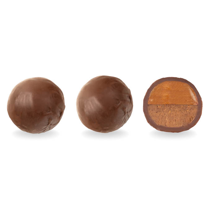 Salted Caramel + Hazelnut Praline