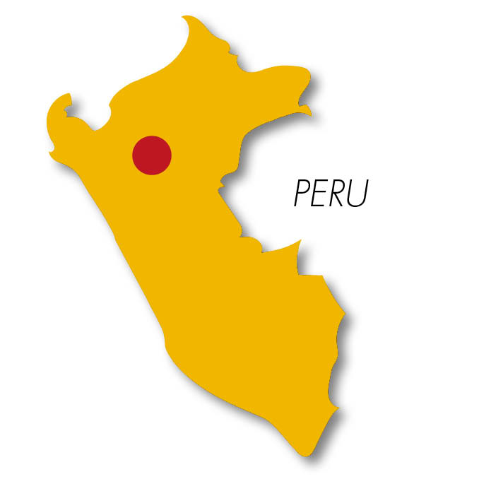 COCOA BEANS Peru