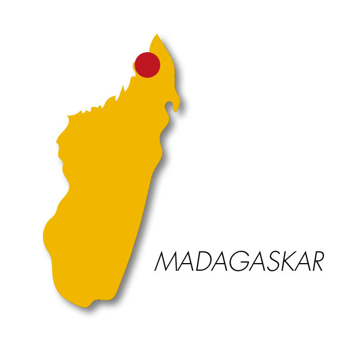COCOA BEANS Madagascar