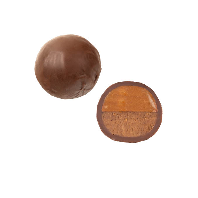 Choc 'n' Roller Salted caramel + Hazelnut Praline
